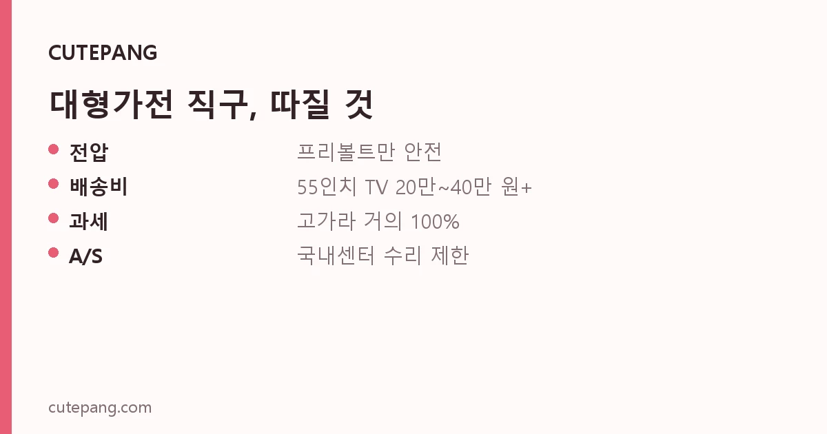 대형가전 직구, 따질 것